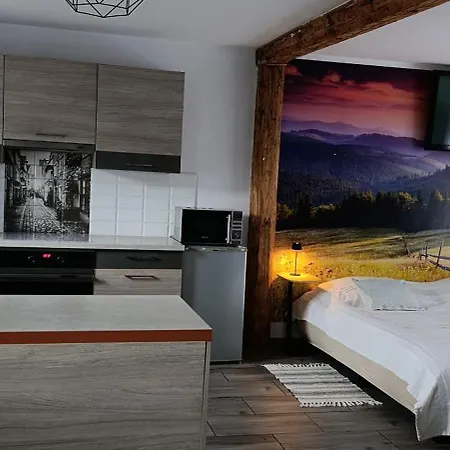 Streamside Apartament *